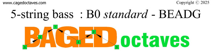 BAGED octaves logo (5-string bass : B0 standard - BEADG)