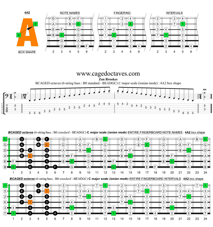 BCAGED octaves (6-string bass : B0 standard - BEADGC) C major scale (ionian mode) : 4A2 box shape