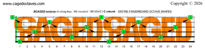 C natural octave shapes : 4-string bass (B0 standard - BEADGC)