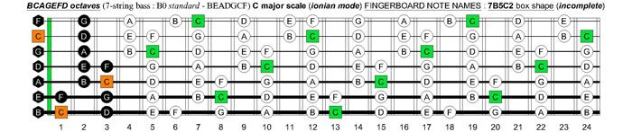 BCAGEFD octaves (7-string bass : B0 standard - BEADGCF) C major scale (ionian mode) : 7B5C2 box shape (incomplete)