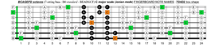 BCAGEFD octaves (7-string bass : B0 standard - BEADGCF) C major scale (ionian mode) : 7D4D2 box shape