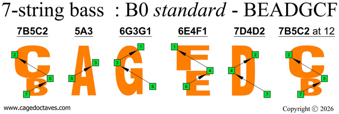 BCAGEFD octaves 7-string bass (B0 standard - BEADGCF) octaves logo