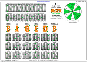BAGED octaves 7-string guitar (F#1 standard - F#BEADF#B) C major scale (ionian mode) box shapes pdf