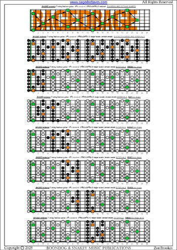 BAGED octaves 7-string guitar (F#1 standard - F#BEADF#B) C major scale (ionian mode) box shapes : entire fretboard intervals