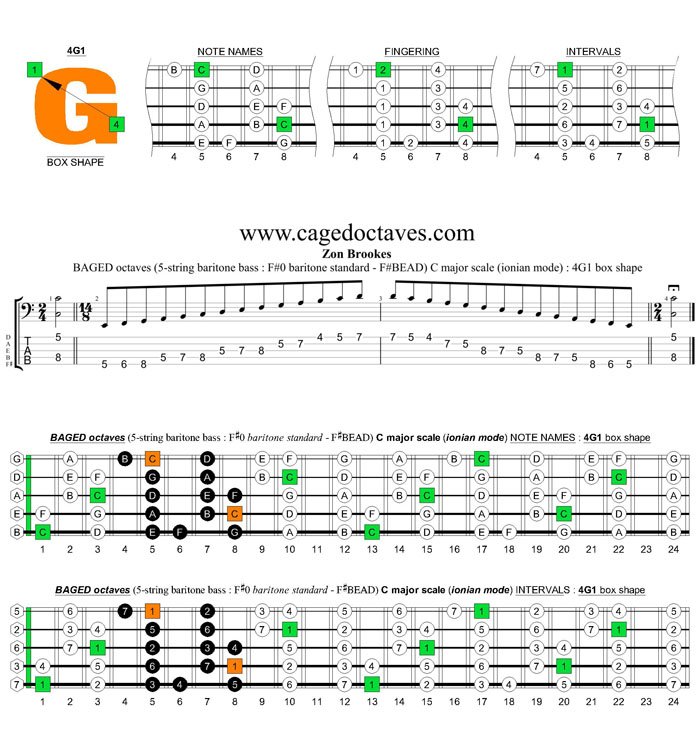 BAGED octaves 5-string baritone bass (F#0 baritone standard - F#BEAD) C major scale (ionian mode) : 4G1 box shape