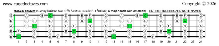 BAGED octaves 5-string baritone bass (F#0 baritone standard - F#BEAD) C major scale (ionian mode) : entire fretboard notes
