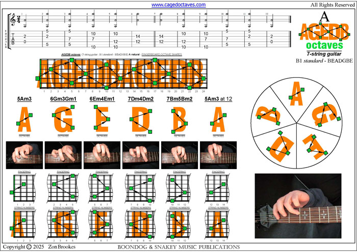 AGEDB octaves : A natural octaves