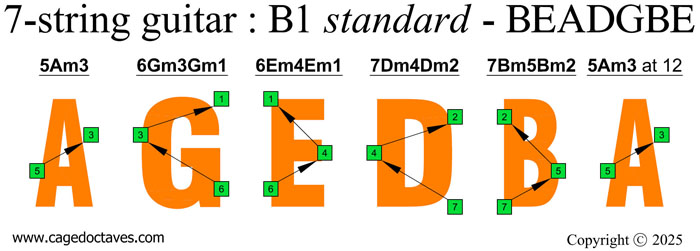 AGEDB octaves : A natural octave shapes