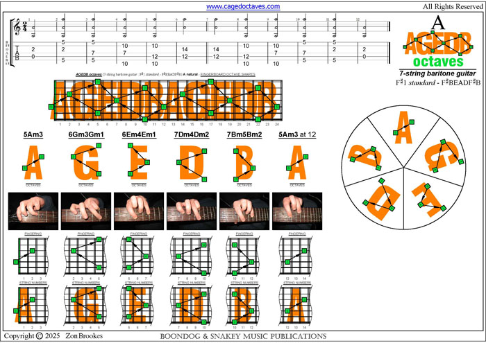 AGEDB octaves 7-string baritone guitar (F#1 standard - F#BEADF#B)  : A natural octaves