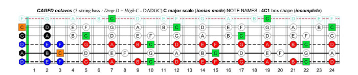 CAGFD octaves (5-string bass : Drop D + High C - DADGC) C major scale (ionian mode): 4C1 box shape (incomplete)