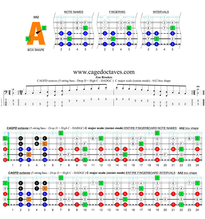 CAGFD octaves (5-string bass : Drop D + High C - DADGC) C major scale (ionian mode): 4A2 box shape