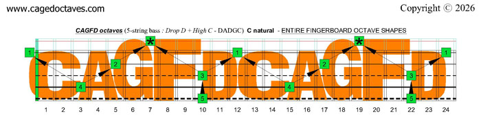 CAGFD octaves fingerboard (5-string bass : Drop D + High C - EADGC) : C natural octaves